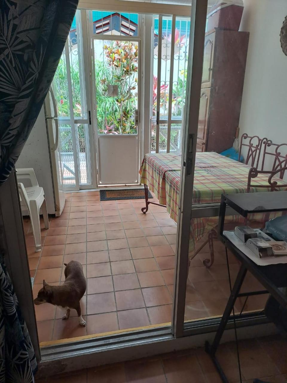 Appartement T2 Meuble Tout Confort ル・ゴジエ エクステリア 写真